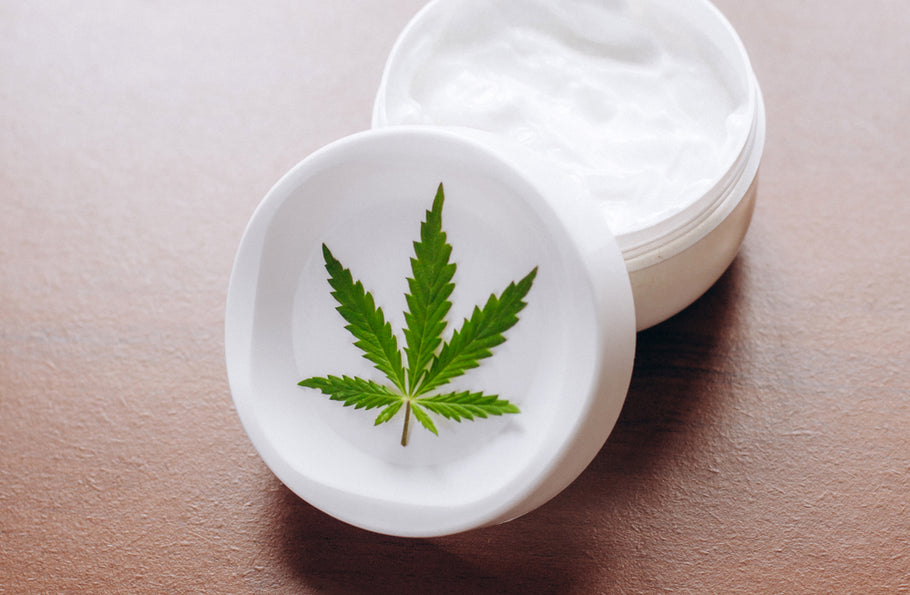 Ease The Pain: How CBD Cream Supports Hard Working People