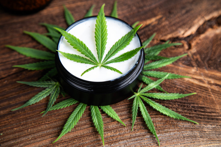 Safety First: Debunking Myths And Addressing Concerns About CBD Cream